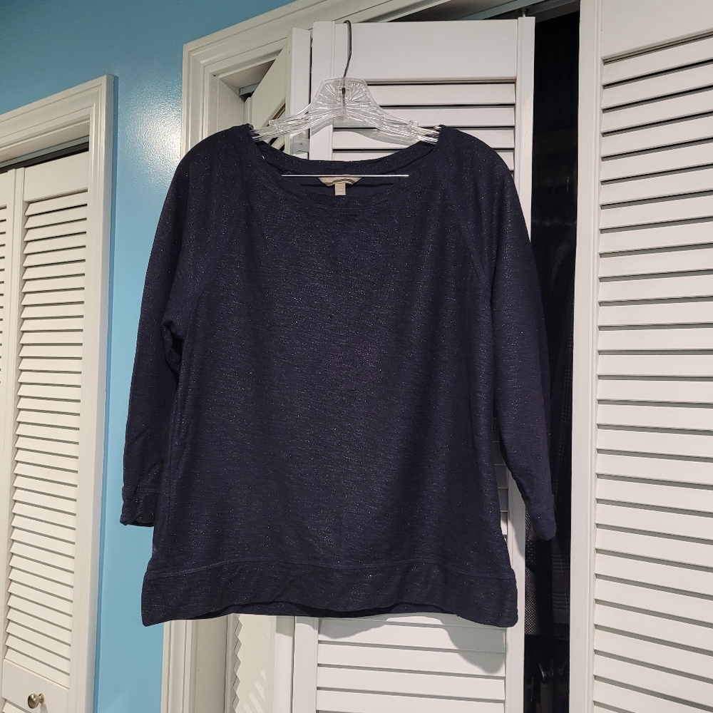 Banana Republic Navy Sweatshirt